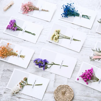 10vnt Gypsophila džiovintos gėlės ranka palaima atvirukas gimtadienio dovanų kortelės, vestuvių kvietimai