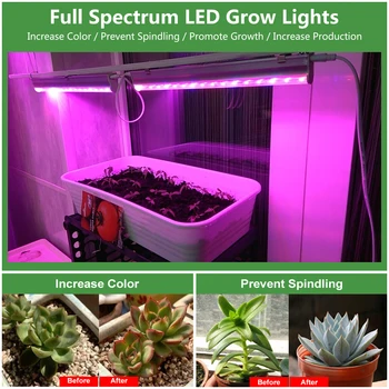 110V, 220V LED Grow Light T5 Vamzdis viso Spektro LED Nelanksti, Baras, Šviesos, Patalpų Phytolamp Augalų Akvariumo Šiltnamio efektą sukeliančių Augti Palapinė 5vnt