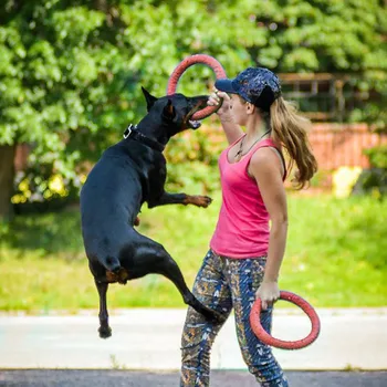 2020 Šuo Plaukioja Diskai Pet Mokymo Žiedas Interaktyvios Mokymo Šuns Žaislas Nešiojamų Lauke Didelių Šunų Žaislai Pet Produktų Judėjimo Priemonės