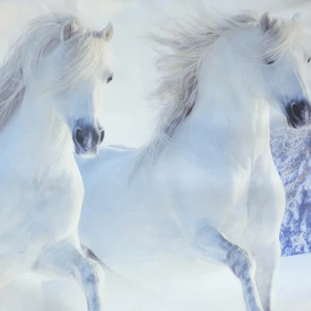 3 Dalių Vienam Nustatyti Geriausius Pardavimo Balti arkliai Šuoliais Sniego HD 3d patalynės komplektas