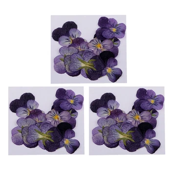 36 Vienetų Nekilnojamojo Violetinė Gėlių, Džiovintų Gėlių Puošmenų, 