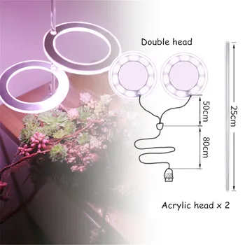 5V LED USB Angelas Žiedas Augalų Auga Šviesos Sultingi Visą Spektrą Fito Lempos Sunlike Kambarinių Gėlių Daigų Šiltnamio efektą sukeliančių