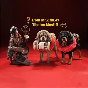 Apie 20CM 1/6 Masto Tibeto Mastifas Mr. Z: NE.047 gyvūnų šunų modelis žaislas veiksmų skaičius, scene apdaila