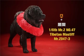 Apie 20CM 1/6 Masto Tibeto Mastifas Mr. Z: NE.047 gyvūnų šunų modelis žaislas veiksmų skaičius, scene apdaila