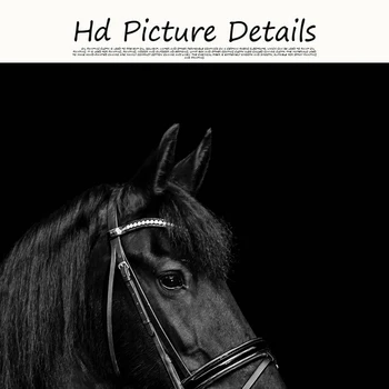 Black Horse Head Gyvūnų Drobės Tapybos Plakatai ir Spausdina Skandinavijos Sienos Meno Nuotrauką Kambarį Cuadros Namų Dekoro