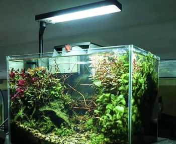 Chihiros Naujas C2, C II Serijos Augalų Auga LED Šviesos Mini Nano Įrašą Akvariumo Žuvų Bakas Blue Tooth Sunrise Sunset
