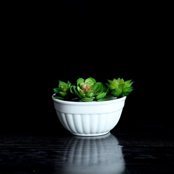 Kabo Keramikos Succulents Augalų, Gėlių Vazonas Mini Vazonai, Augalų Žaliosios Augalų Sodinamosios Turėtojas Šiuolaikinių Namų Biuro Sienų Apdaila