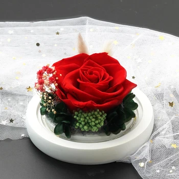 Karšto Grožio Ir Žvėrys Raudona Rožė Gėlių Stiklo Kupolas Mediniais Už Papuošti Valentino Dienos Dovanos Kalėdų LED Rose Lempos