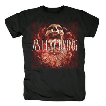 Medvilnė, AS I LAY DYING 