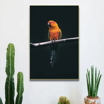 Modernus Gyvūnų Drobės Tapybos Paukštis Papūga Nuotraukas Dekoratyvinis Plakatų ir grafikos Studijų ir Ūkio Kambario Dekoro Sienos Meno Cuadros