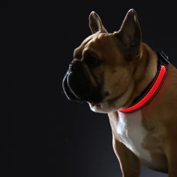 Naminių gyvūnėlių Apykaklės Šunų Antkaklis Žėrintis Šviesos Saugos Mirksi Švyti Šviesos diodų (LED Antkaklio, Pavadėlio Karoliai USB Įkrovimas