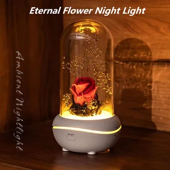 USB Įkrovimo Amžinąjį Gėlių Aromatas Nakties Šviesos Išjungimo Lavos Lempa Mini eterinis Aliejus Stalo Lempos Atostogų Dovanų Miegamasis Dekoro