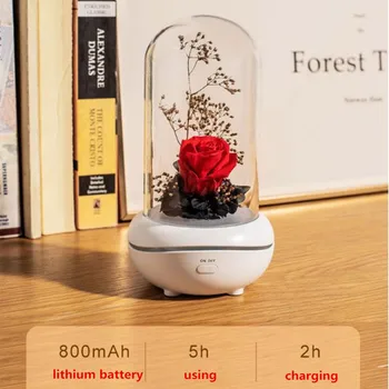 USB Įkrovimo Amžinąjį Gėlių Aromatas Nakties Šviesos Išjungimo Lavos Lempa Mini eterinis Aliejus Stalo Lempos Atostogų Dovanų Miegamasis Dekoro