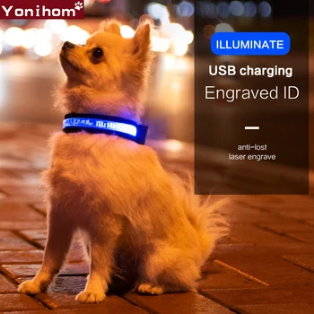 Šunų Antkaklis Asmeninį LED Antkaklis Katė Augintiniai Įkrovimo Šunų Antkaklis USB Naktį Saugos Žėrintis Led Antkakliai Įkraunama Šviesos