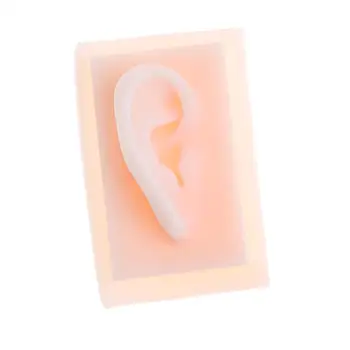 Žmogaus dešinės ausies modelis 1:1 silikono akupunktūra medicinos studijų rinkinio