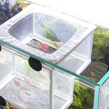 Žuvų Veisimo Inkubatorius Akvariumo Žuvų Bakas Veisimo Veisėjas Atskirai Langelį Akvariumas Perykla Auga Sodinukai Atgaminti Turėtojas