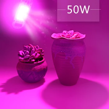 【3 vnt】Borbede LED, COB (Chip Už Augti Augalų Šviesos Pilno Spektro 220V 10W 30W 50W Fito Lempos Kambarinių Augalų