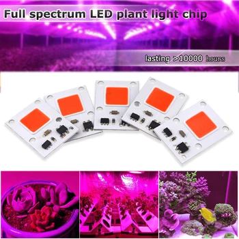 【3 vnt】Borbede LED, COB (Chip Už Augti Augalų Šviesos Pilno Spektro 220V 10W 30W 50W Fito Lempos Kambarinių Augalų